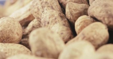 Kabuk kavrulmuş fıstık