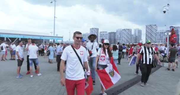 Football fans of Poland — Stock Video