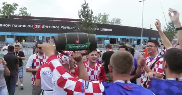 De ventilators van de voetbal van finale — Stockvideo