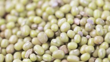 Tabakta Asya fasulyesi