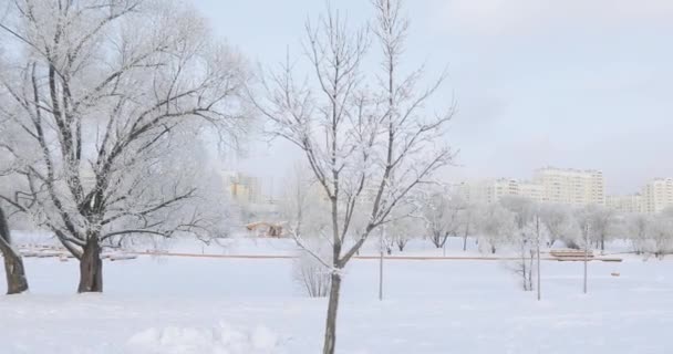 Parque urbano cubierto de nieve — Vídeos de Stock