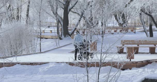 Mãe com um carrinho no parque de inverno — Vídeo de Stock