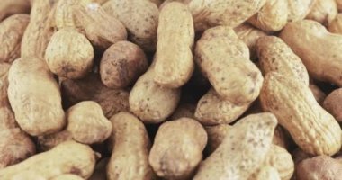 Kabuk kavrulmuş fıstık