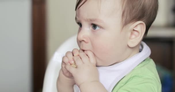 Малыш ест печенье — стоковое видео