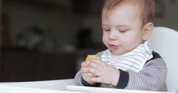 Bébé garçon mangeant mandarin — Video