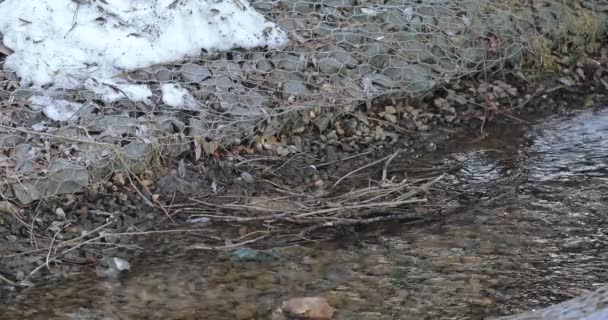 Derretimiento de nieve y hielo — Vídeos de Stock