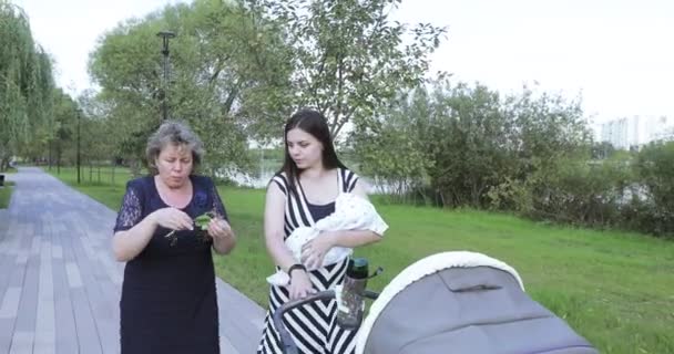 Jovem mãe com sua mãe no parque — Vídeo de Stock
