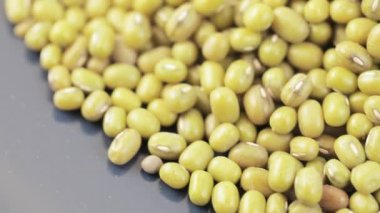 Tabakta Asya fasulyesi