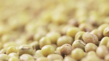 Tabakta Asya fasulyesi