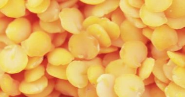 Lentil Farsça toplu