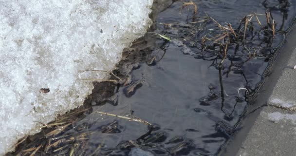 Fonte de la neige et de la glace — Video