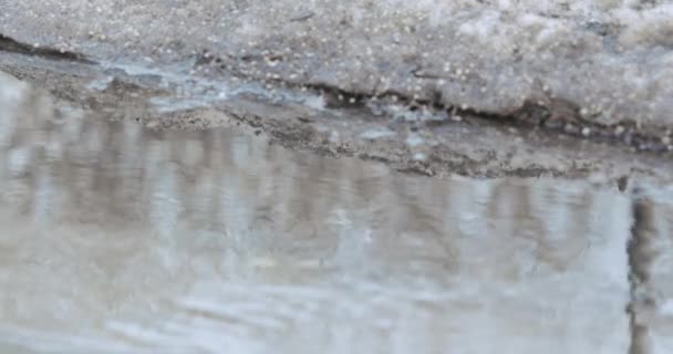 Fonte de la neige et de la glace — Video