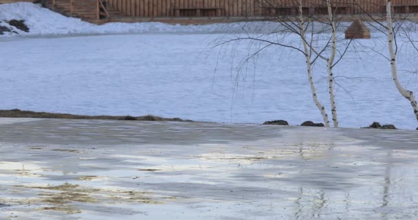 Smältande snö och is — Stockvideo