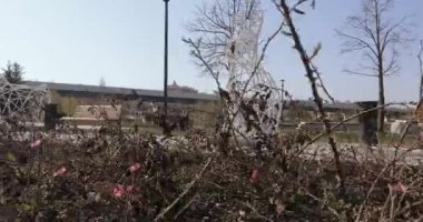 Parkta Paskalya figürleri