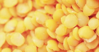 Lentil Farsça toplu