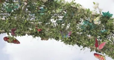 Dekoratif kemer üzerinde Kelebekler