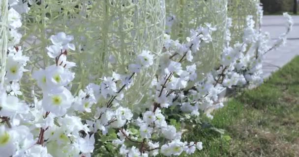 Œufs de Pâques dans le parc — Video