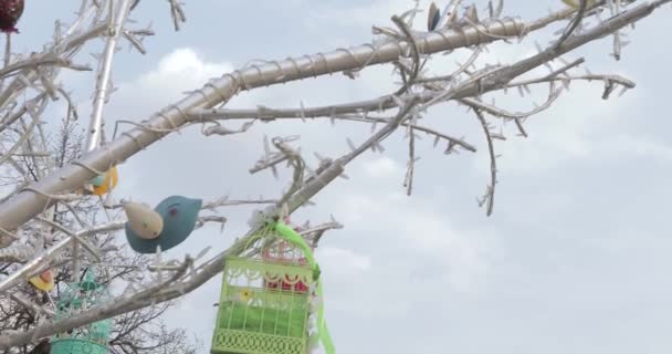 Jaulas decorativas para pájaros — Vídeo de stock