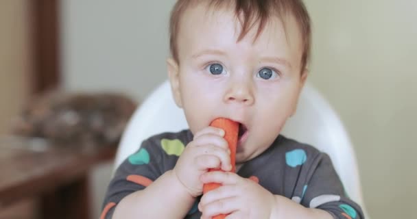 Baby boy eating a Karotka — Stock video