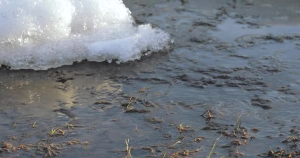 雪と氷を溶かす — ストック動画