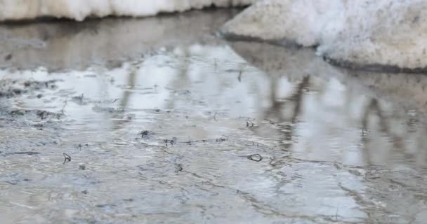 Derretimiento de nieve y hielo — Vídeos de Stock