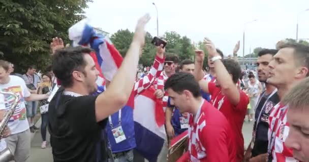 De ventilators van de voetbal van finale — Stockvideo