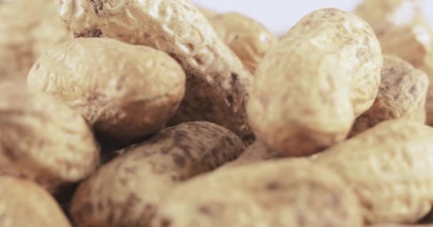 Erdnüsse in der Schale geröstet — Stockvideo