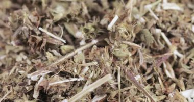 Motherwort çim toplu olarak