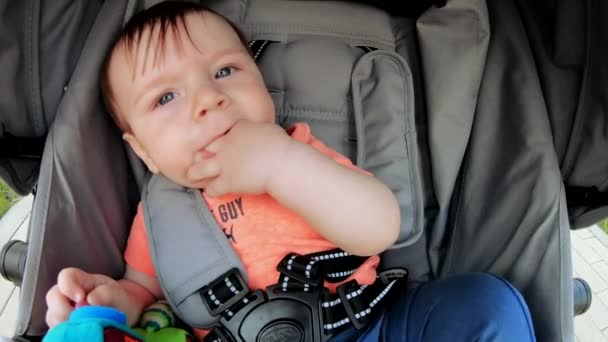 Baby boy in a stroller — Stock Video