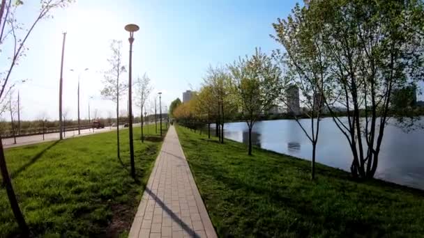 Allée dans le parc de la ville — Video