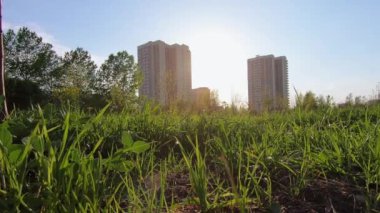 Parkta gün batımı