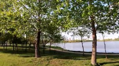 Göl akşamı park