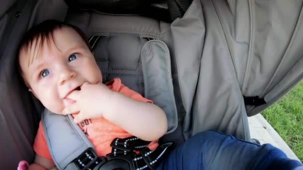 Baby jongen in een wandelwagen — Stockvideo