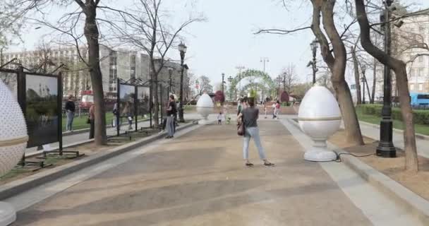 Easter eggs in the park — Stock Video