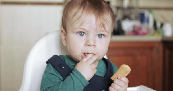 Мальчик ест печенье — стоковое видео
