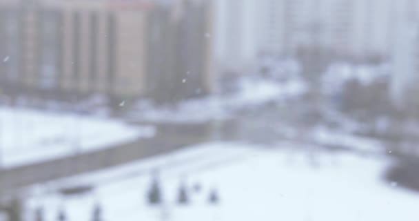 下雪的道路上 — 图库视频影像