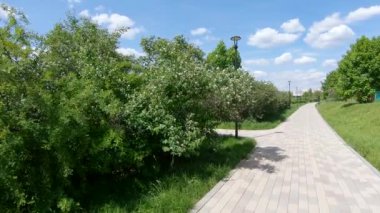Şehir parkındaki sokak.