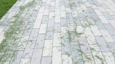 Asfaltta çimleri kesin