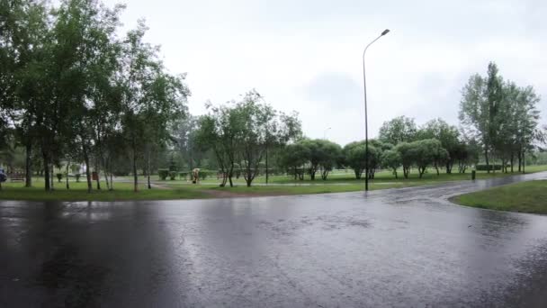 Fuertes lluvias en el parque de la ciudad — Vídeo de stock