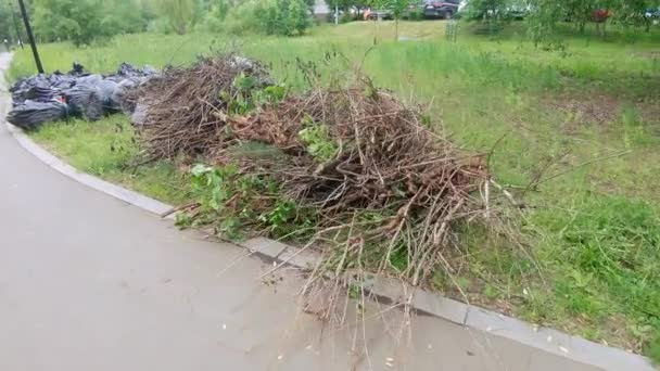 Вирізані гілки і мішки зі сміття — стокове відео