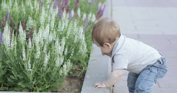 Ένα παιδί κοντά σε ένα κρεβάτι λουλουδιών — Αρχείο Βίντεο