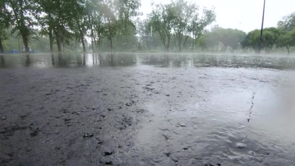 Fuertes lluvias en el parque de la ciudad — Vídeos de Stock