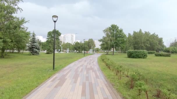 Gasse im Park nach dem Regen — Stockvideo