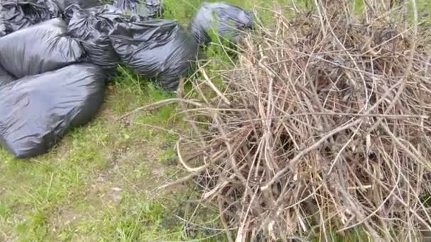 Cortar ramas y bolsas de basura — Vídeos de Stock