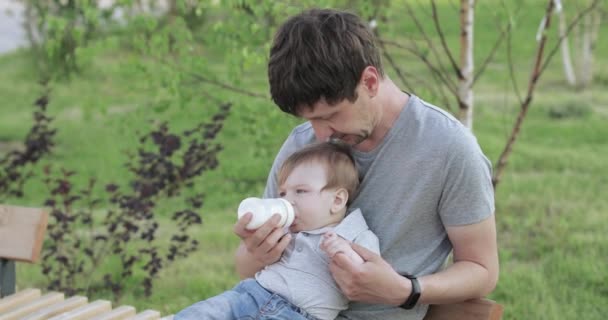 Papa voedt de baby — Stockvideo