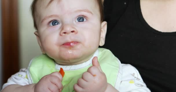 Bébé garçon manger une carotte — Video