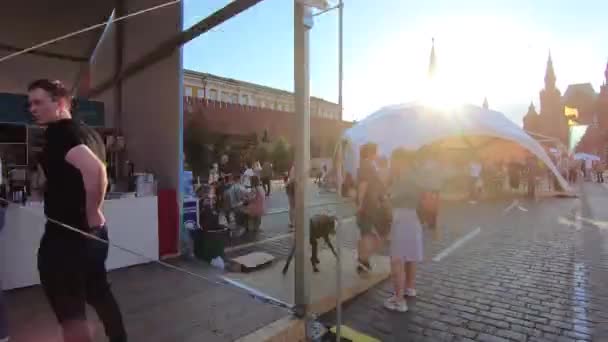 Книжковий фестиваль на Червоній площі — стокове відео