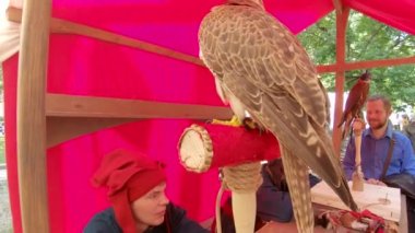 Avcılar ve avcılar