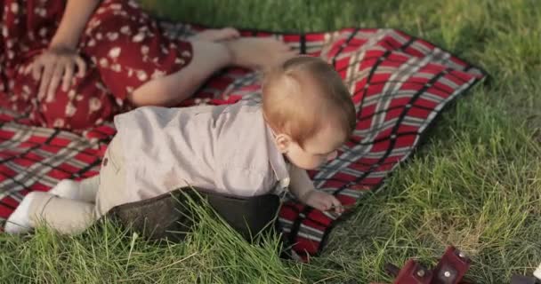 Moeder met een kind bij een picknick — Stockvideo