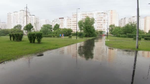 Starkregen im Stadtpark — Stockvideo